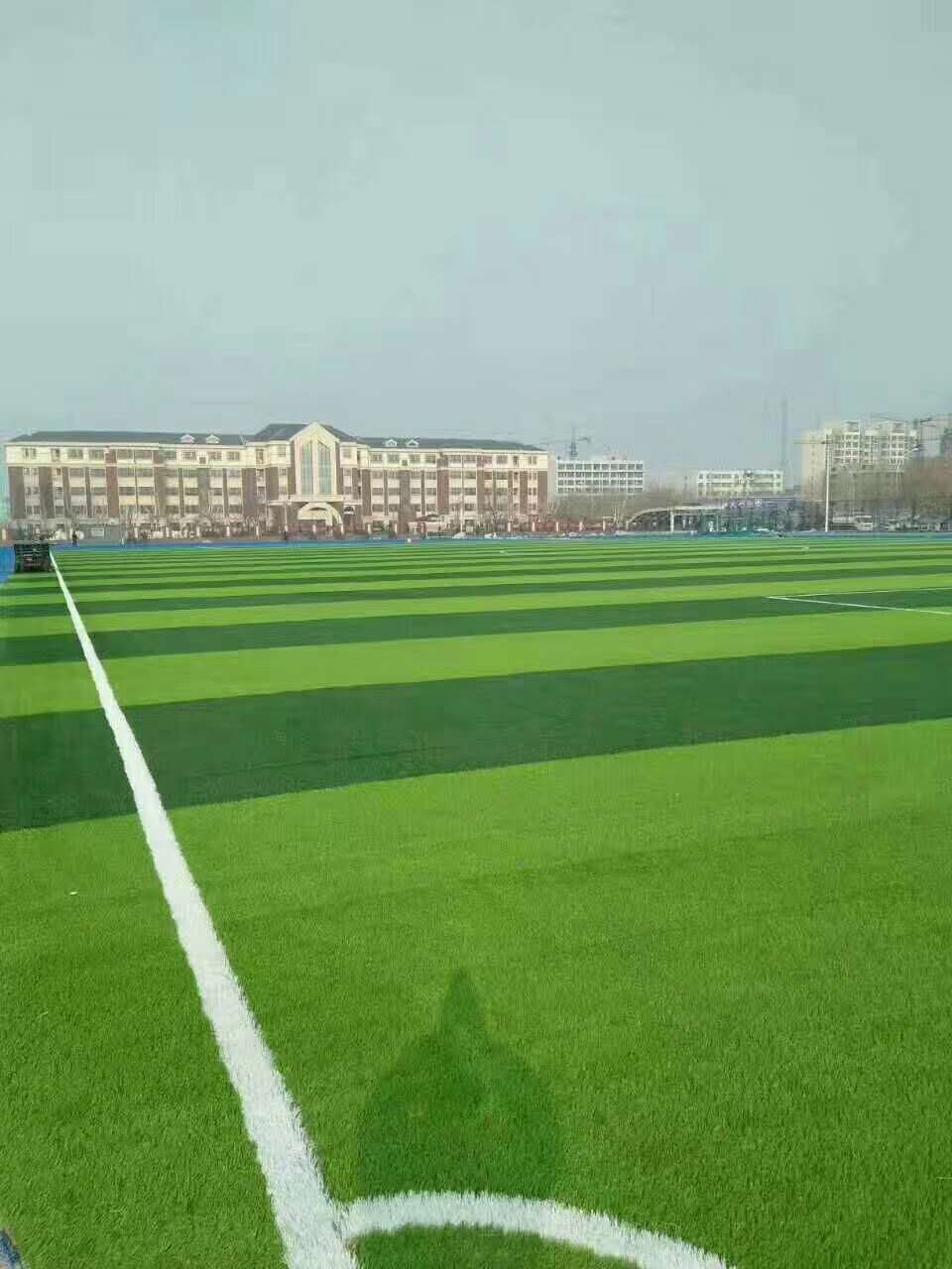 包头市健身步道仿真草坪 - 推荐